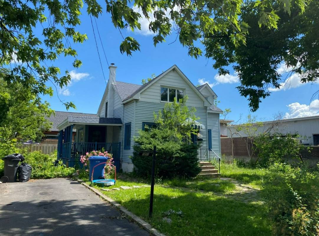 Numéro jazzy du chien au Glockenspiel