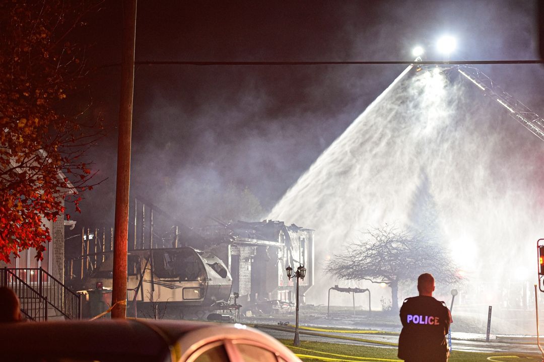 Comment brosser un cheval qui mue