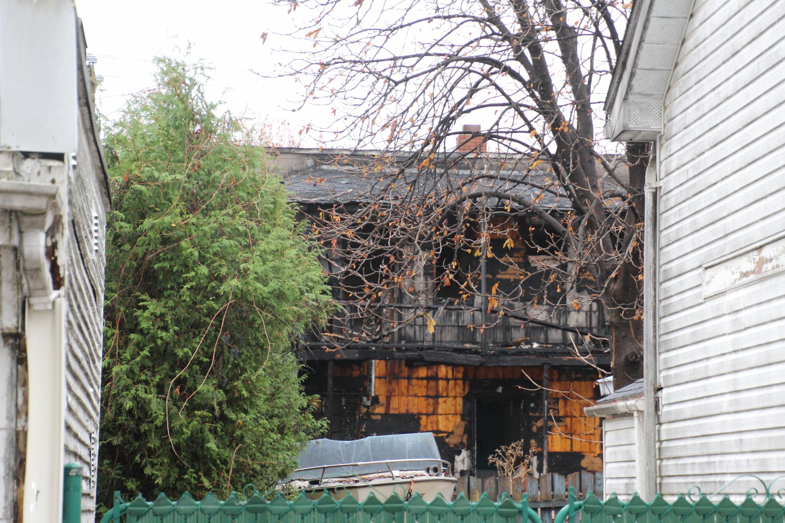Un flamant rose peint sur un corps humain