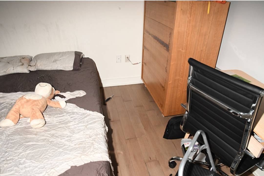 Bébé opossum faisant du stop