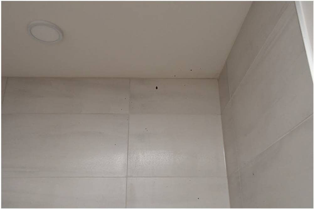 Pourquoi doit-on éviter de se connecter avec son compte Google