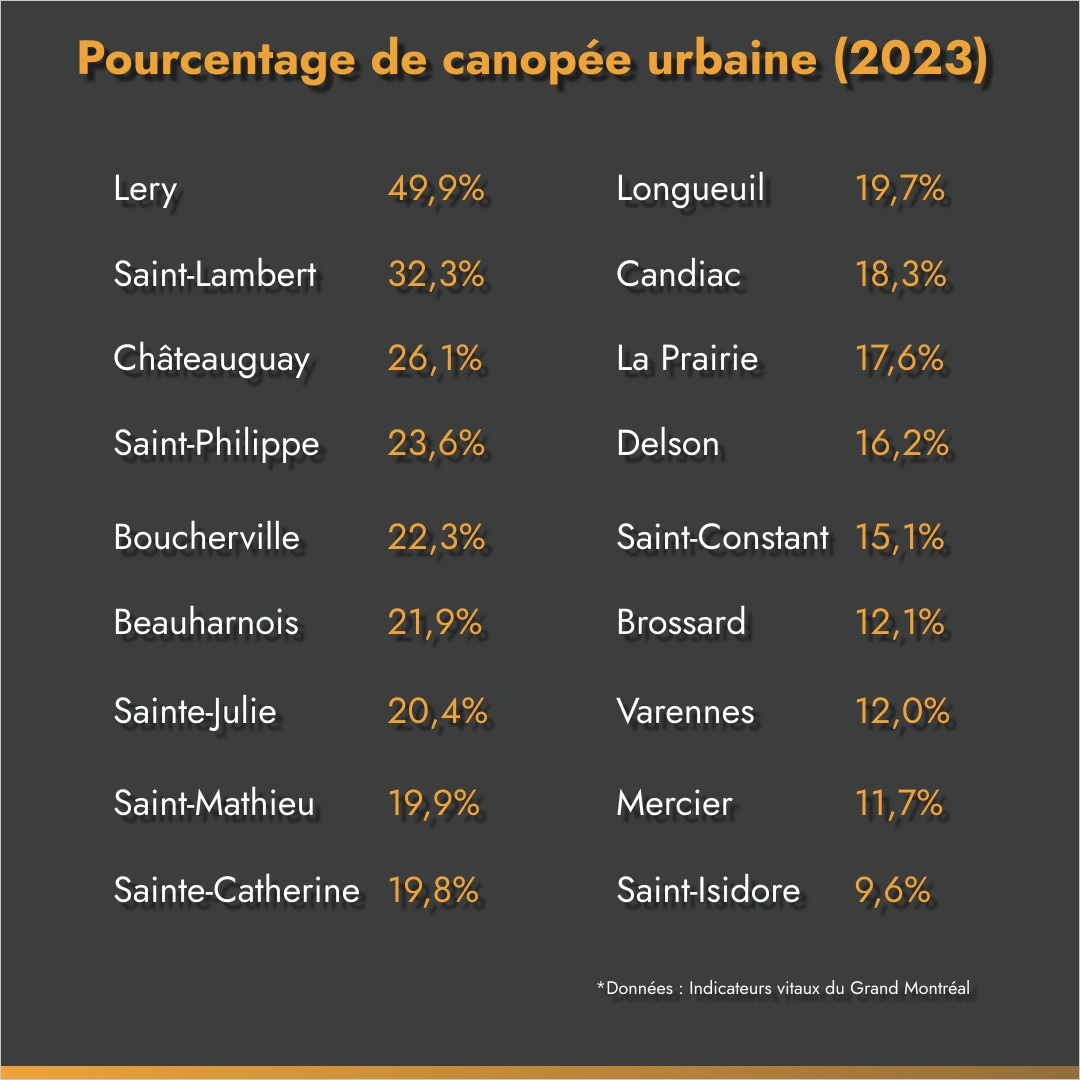 Walt Disney World : des vacances magiques à vivre en famille en 2025