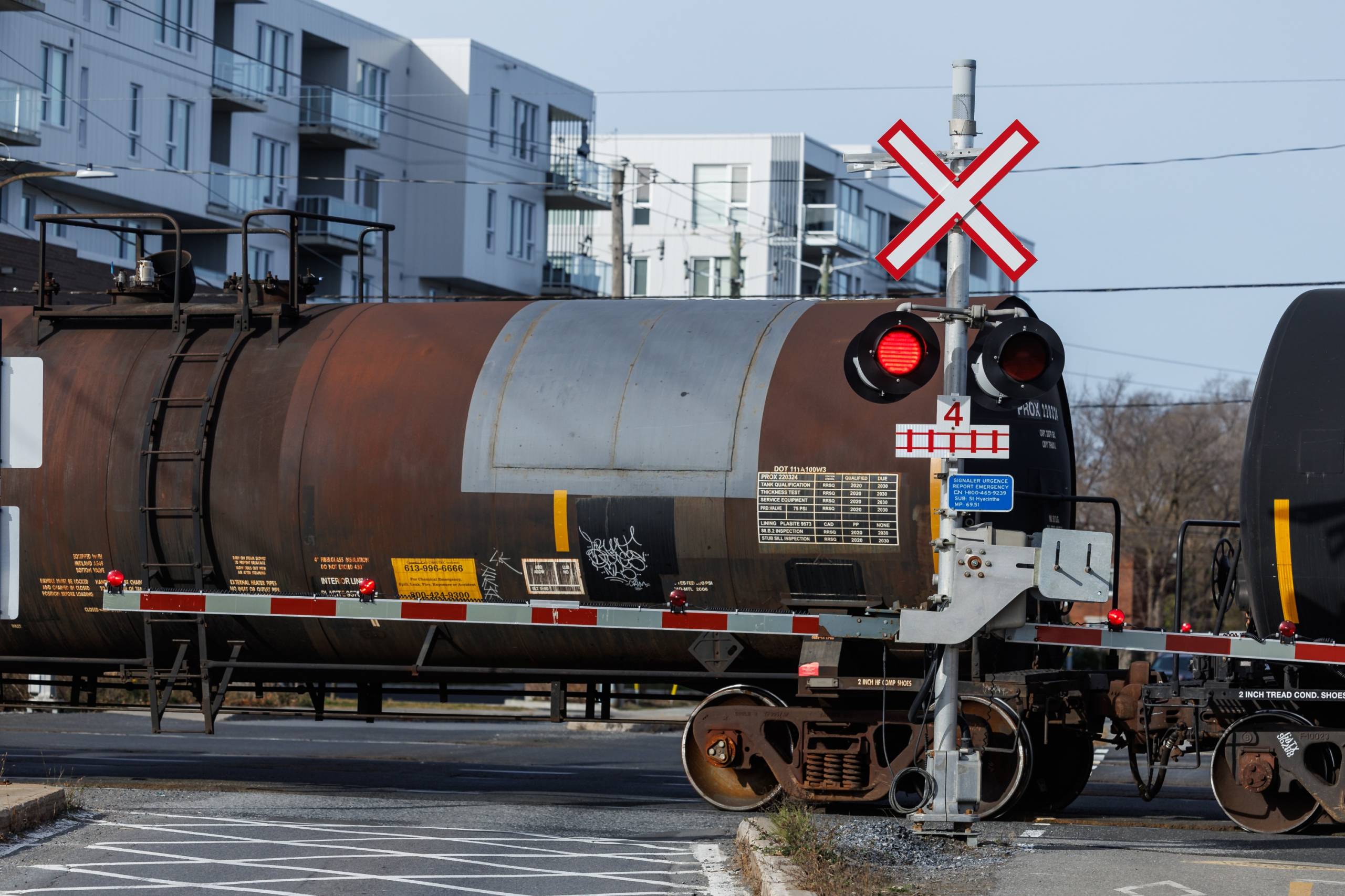 Le chat est enthousiasmée par les nouveaux escaliers de son appartement