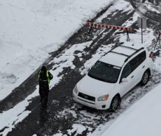 Gestion des cerfs au parc Michel-Chartrand : cinquante bêtes abattues