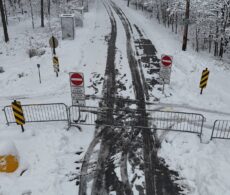 Longueuil : opération de contrôle des cerfs en cours