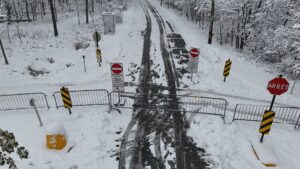 Longueuil : opération de contrôle des cerfs en cours