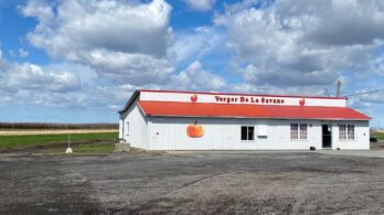 Agriculture dans l&rsquo;agglomération: un souhait de cultiver plus de fruits et légumes