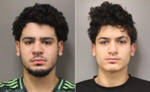 Vols de véhicules : deux individus arrêtés