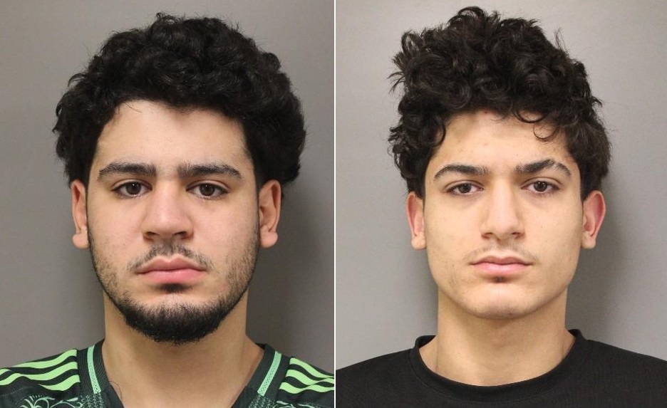 Vols de véhicules : deux individus arrêtés