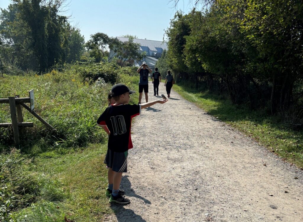 un sentier du refuge faunique Marguerite-D'Youvillr sur l'île Saint-Bernard. (Photo Le Soleil - archives)