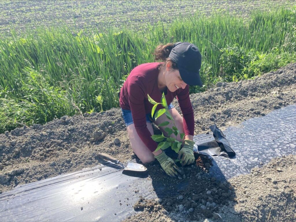 CSS Marie-Victorin : le climat de travail fait l’objet d’une analyse indépendante