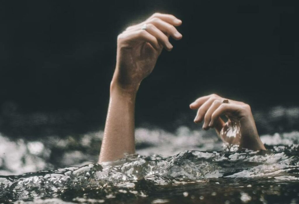 Chiens dans les parcs : des panneaux qui portent à confusion