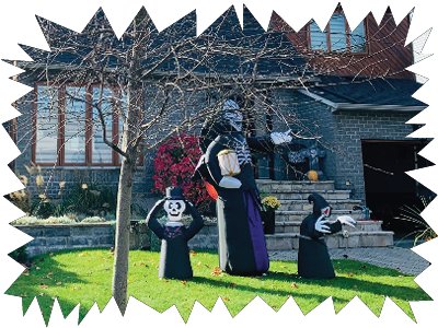 CHRONIQUE – Il y a une marmotte dans ma cour !