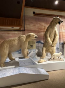 Le Parc Safari renforce sa vocation éducative