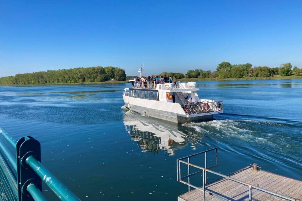 Des navettes fluviales plus populaires