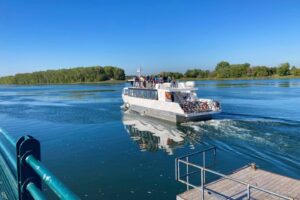 Des navettes fluviales plus populaires