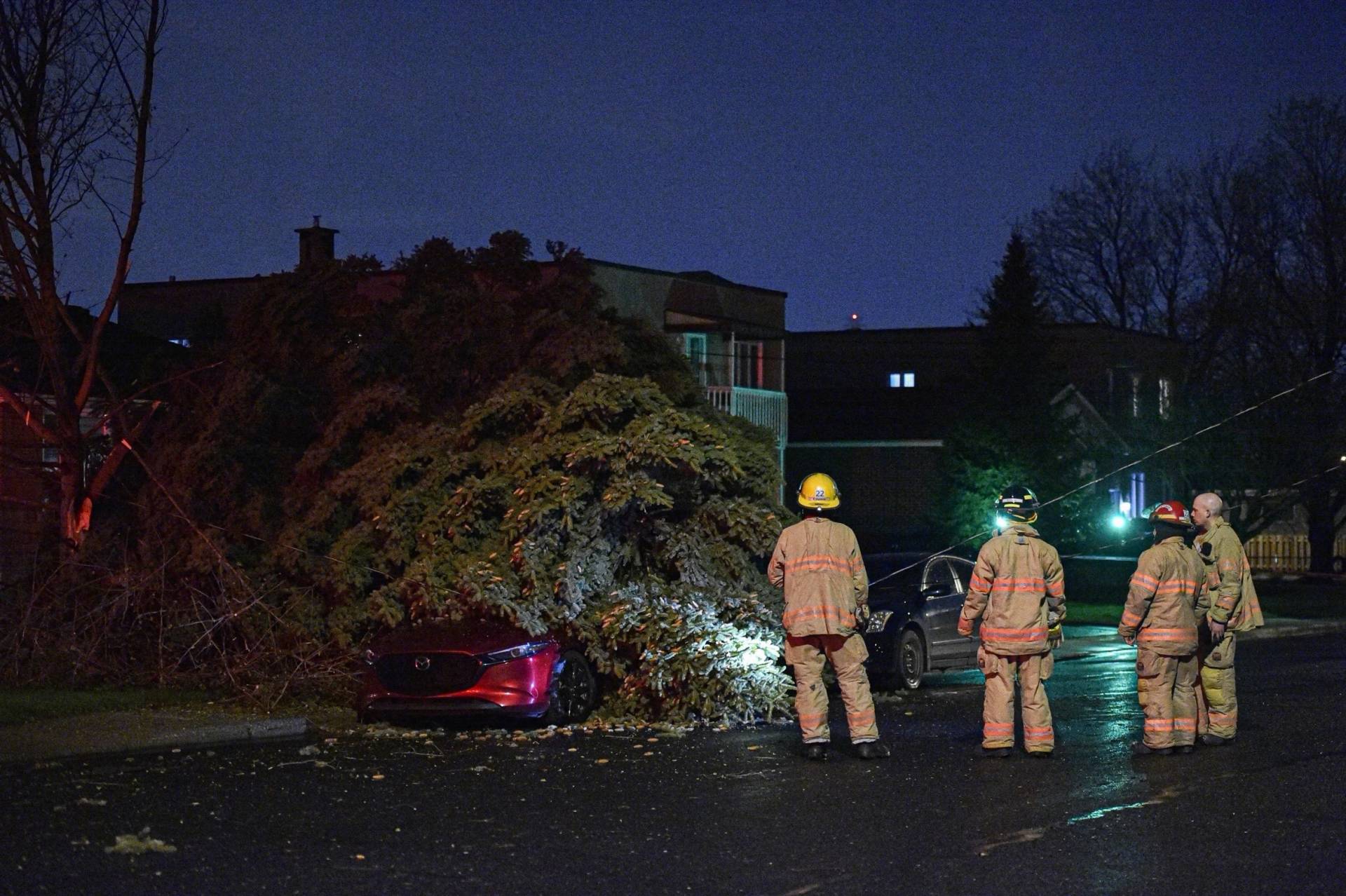 Un arbre tombe sur un véhicule : plusieurs incidents du genre en soirée le 29 avril