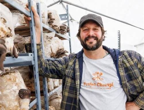 Abeilles et champignons font bon ménage à Saint-Constant
