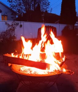 Longueuil : moins de bruit de chantier, et nourrissage excessif d’oiseaux interdit