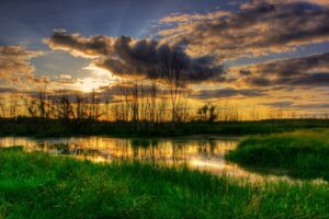 Île Saint-Bernard : gastronomie, nature et bien-être au rendez-vous