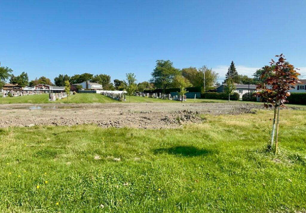 Cimetière de l’église de Saint-Hubert : des plaques déplacées, une famille outrée
