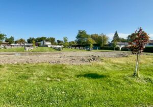 Cimetière de l’église de Saint-Hubert : des plaques déplacées, une famille outrée