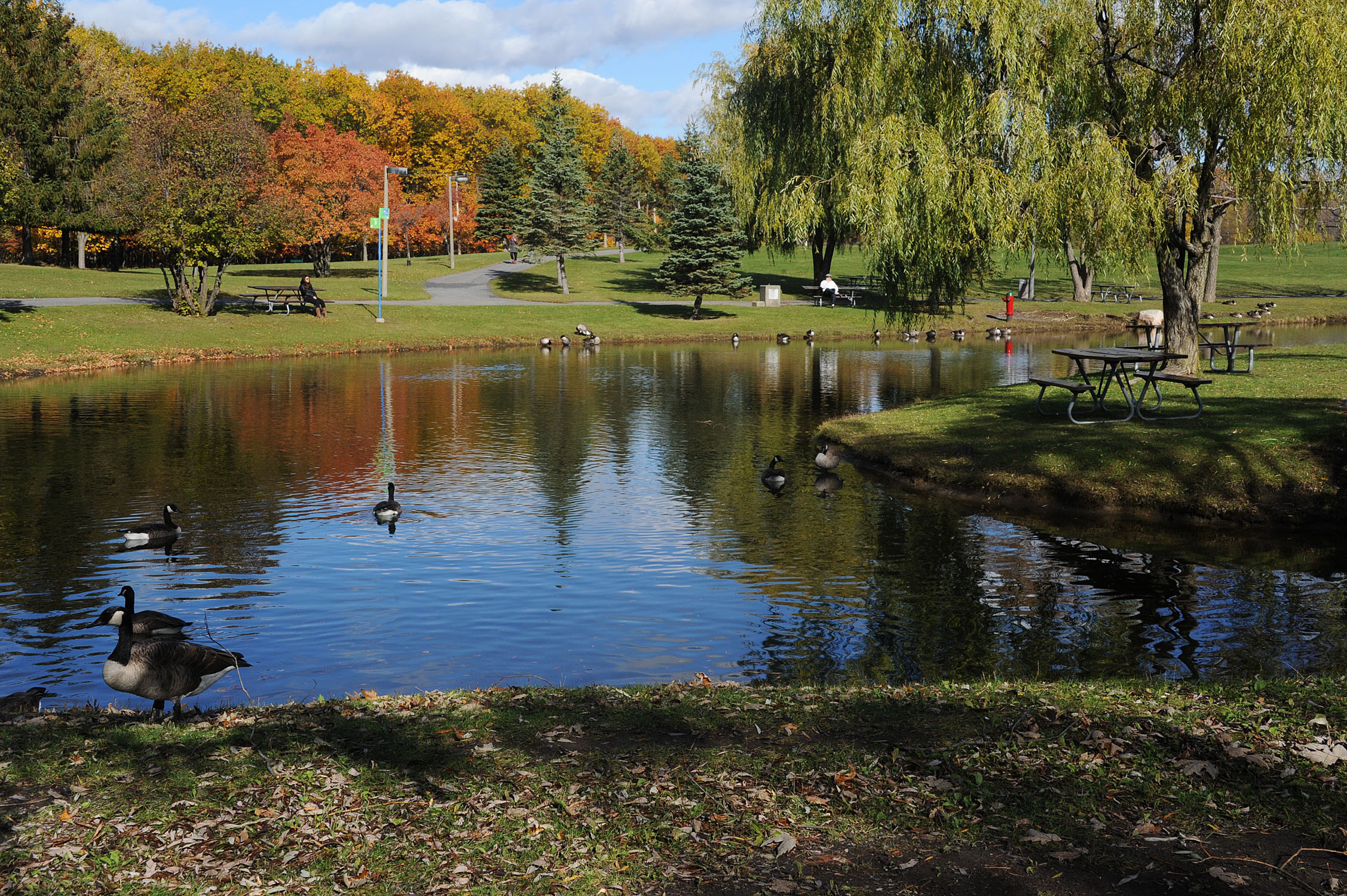 36H en couleurs au parc Michel-Chartrand