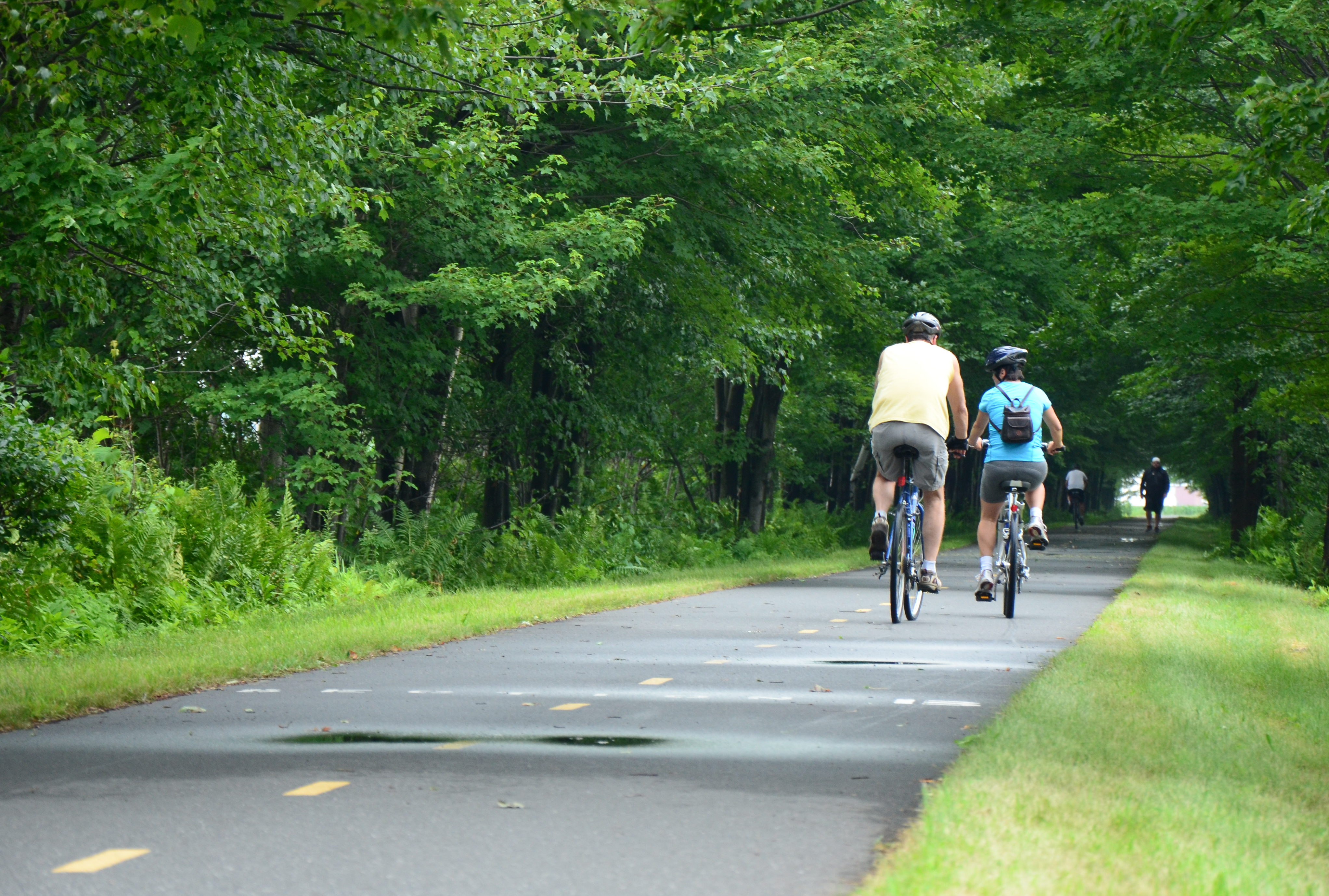 Investissements de 54 M$ pour le réseau cyclable à Longueuil