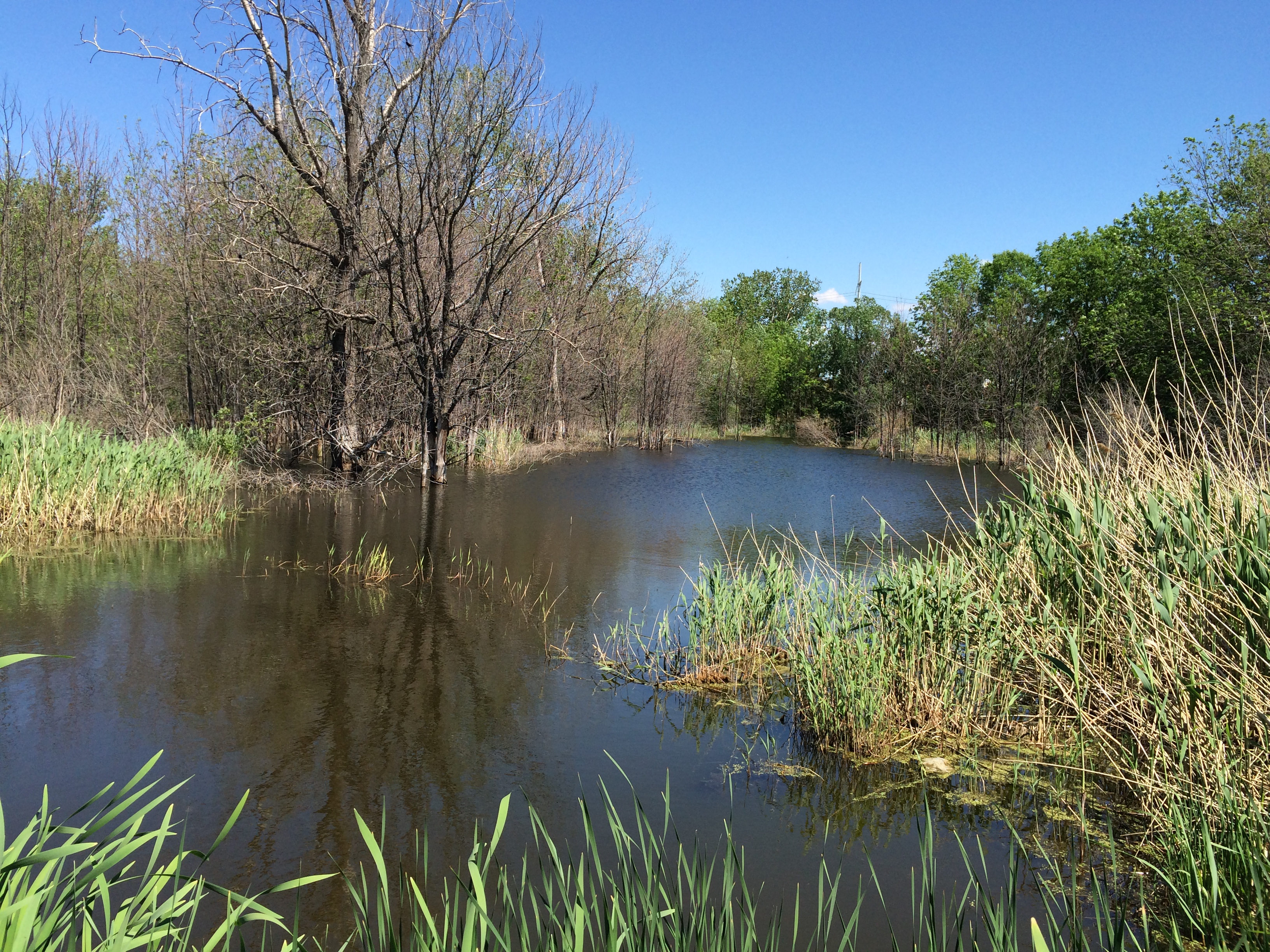 Un sentier d&rsquo;interprétation sera aménagé au parc de la Terre