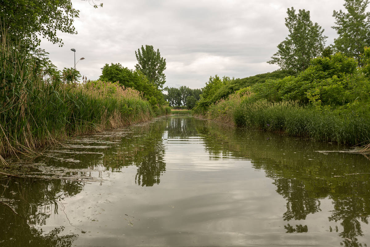 Un havre de nature au cœur de Brossard