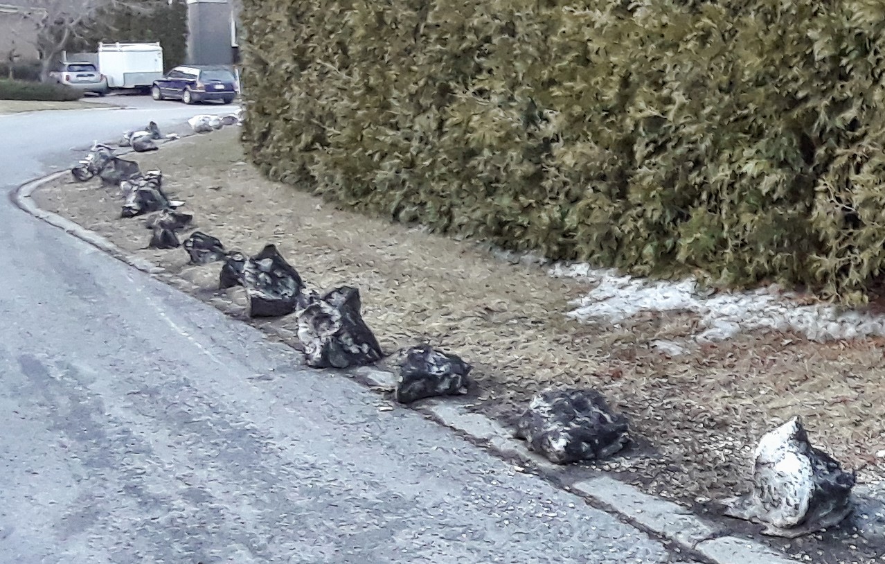 Un fossile de l’Hiverosorux rex ?