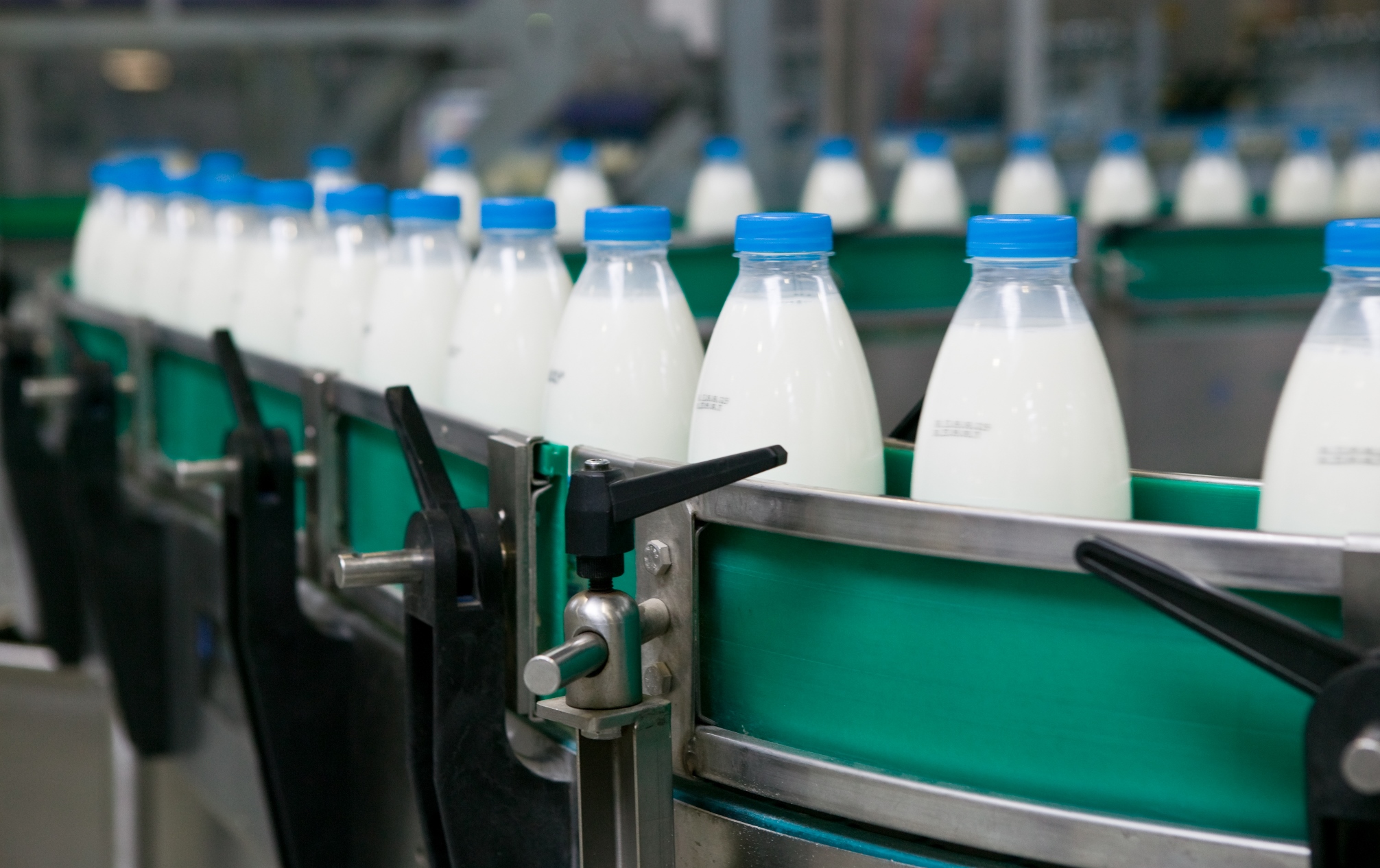Tout sur le lait bio