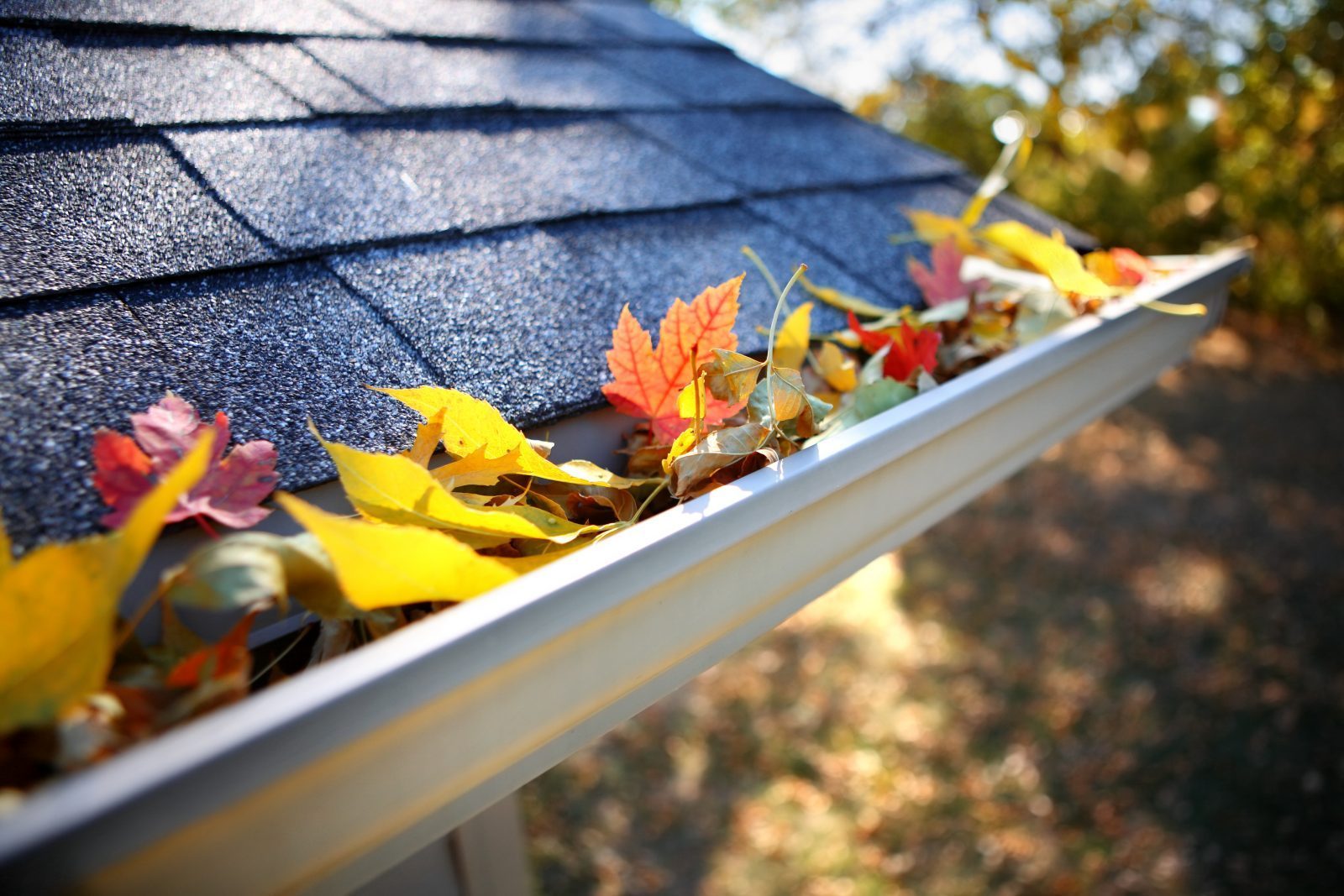 8 étapes pour préparer sa maison pour l’hiver