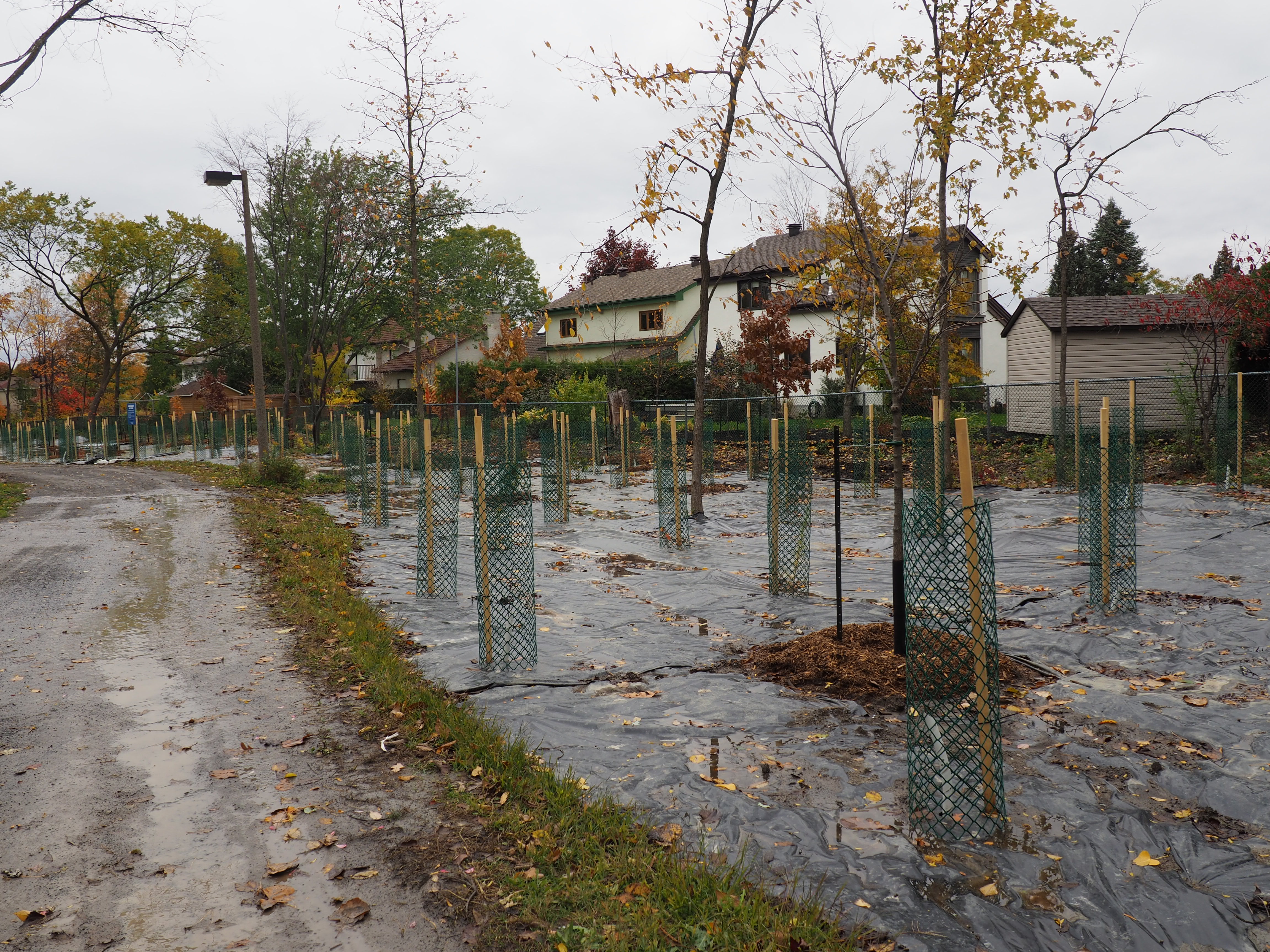 Verdissons Longueuil reçoit un prix Conscientia
