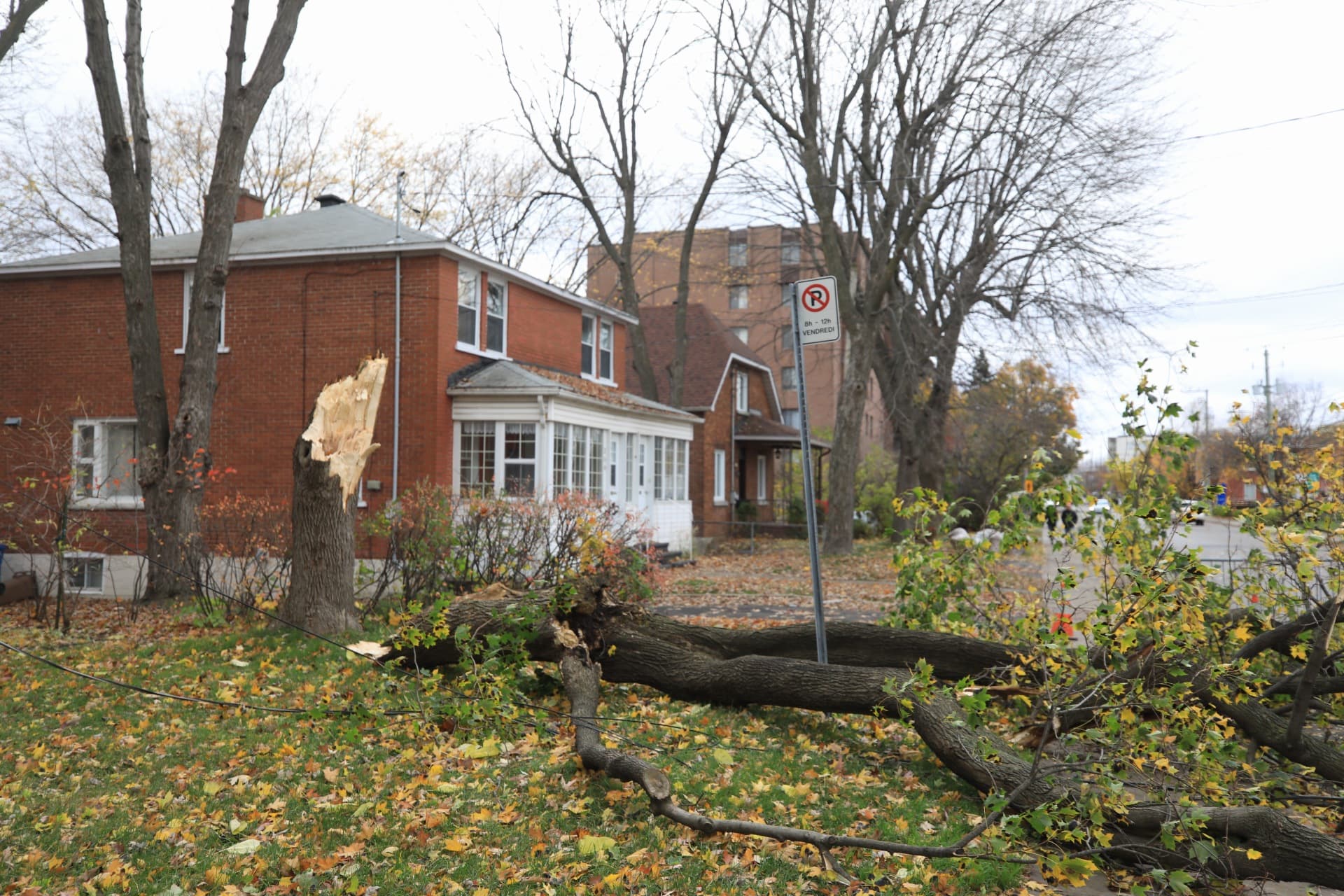 Plus de 32 000 foyers toujours privés d&rsquo;électricité