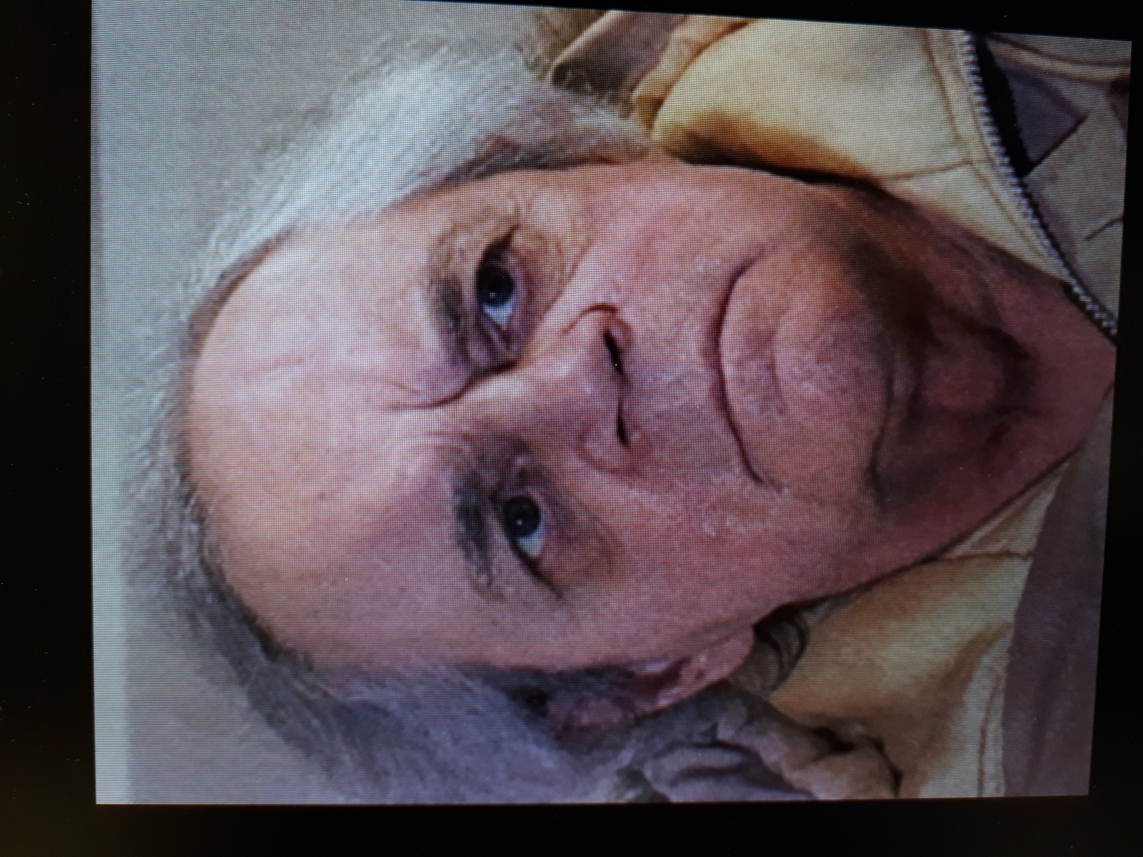 [RETROUVÉ] Un homme disparu pourrait se trouver à Longueuil