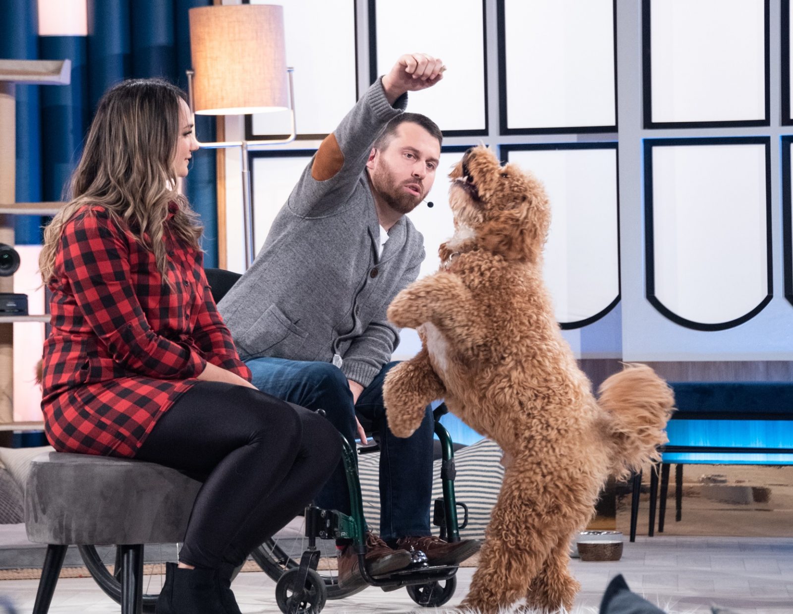 Un chien de la Rive-Sud en vedette à l’émission Animania