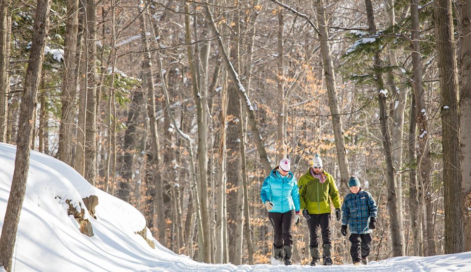 COVID-19: interruption des services dans les parcs de la Sépaq