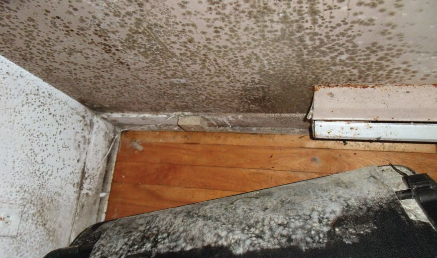 71% des locataires de l’agglomération ont déjà vécu un problème d’insalubrité