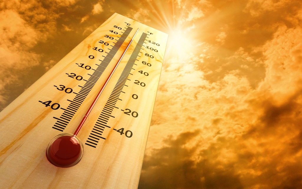 Se reposer, s’hydrater et se rafraîchir pour combattre la canicule