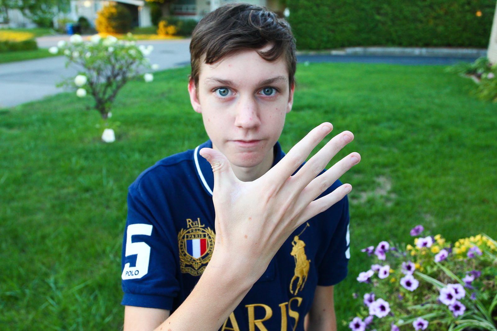 Ces plantes qui blessent