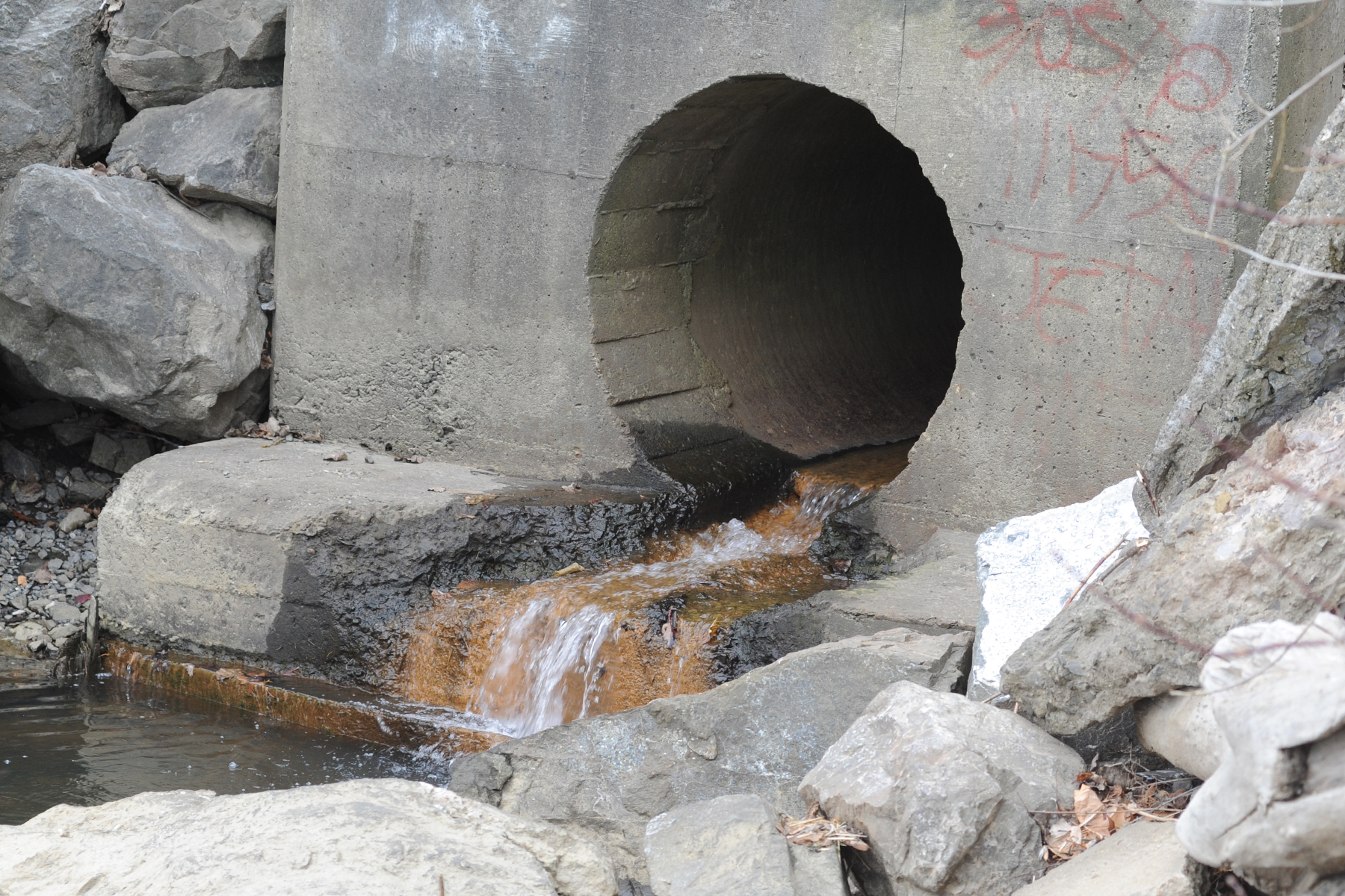 Déversements d’eaux usées à Longueuil : « la situation est sérieuse », dit la mairesse