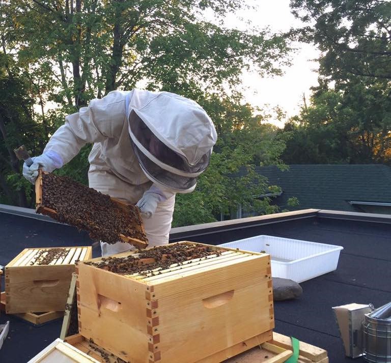 Ruches et réglementation : une application à géométrie variable