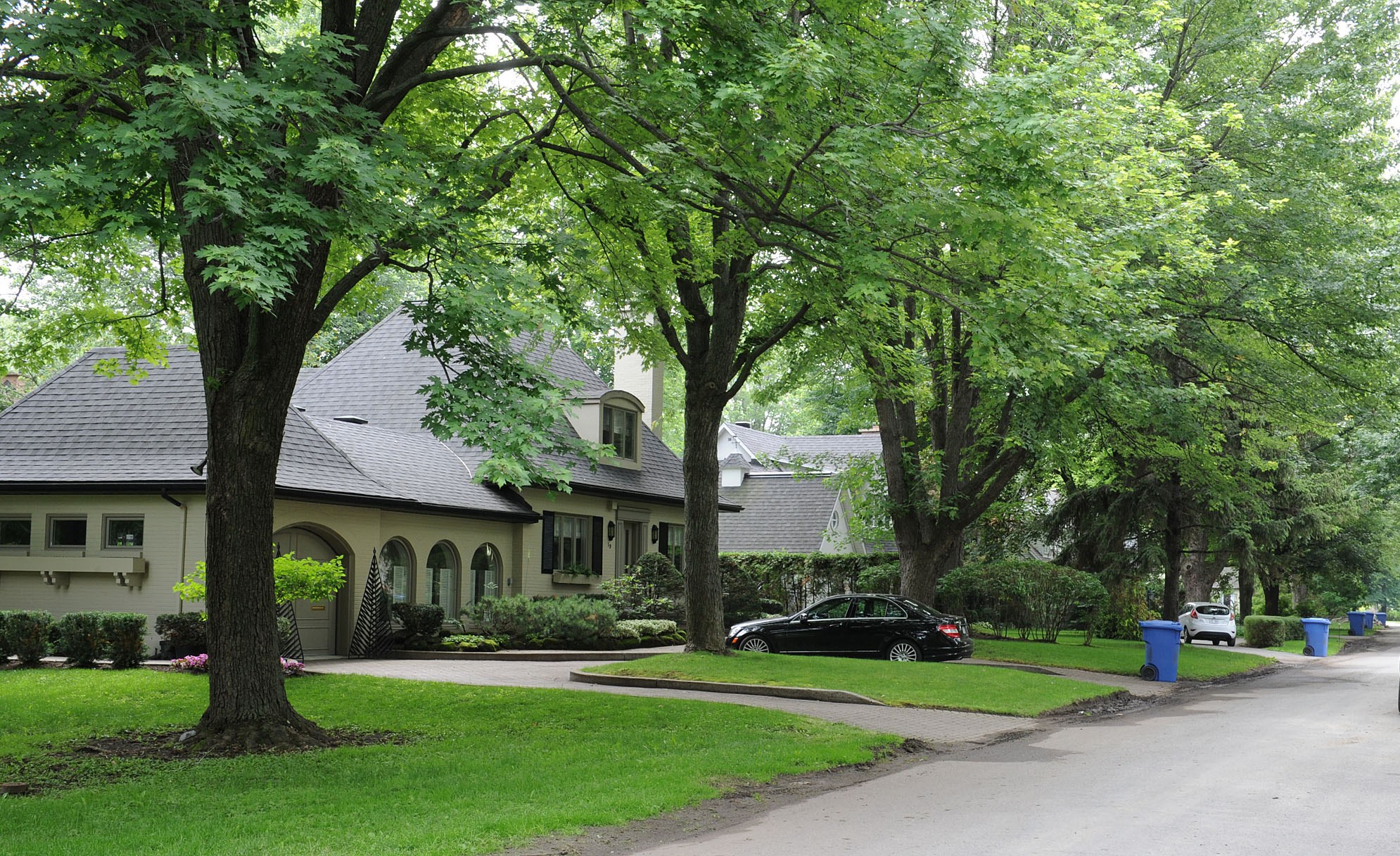 Saint-Lambert récompensée pour son projet en foresterie urbaine
