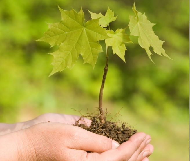 Opinion – Nous exigeons une vraie loi climat pour protéger nos enfants