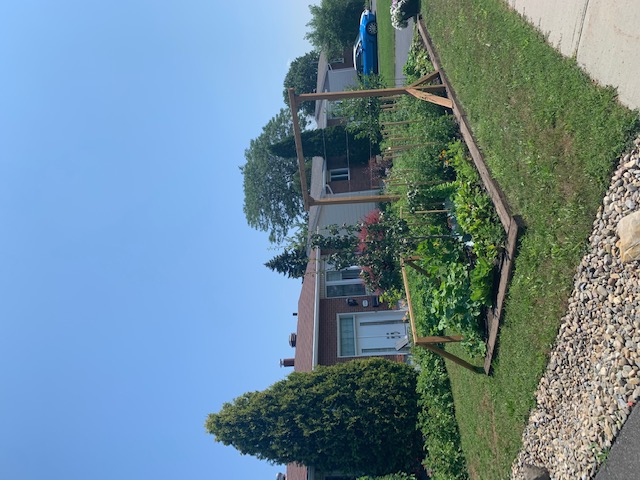 Les citoyens de Saint-Hubert ont plein d’idées en matière d’agriculture urbaine