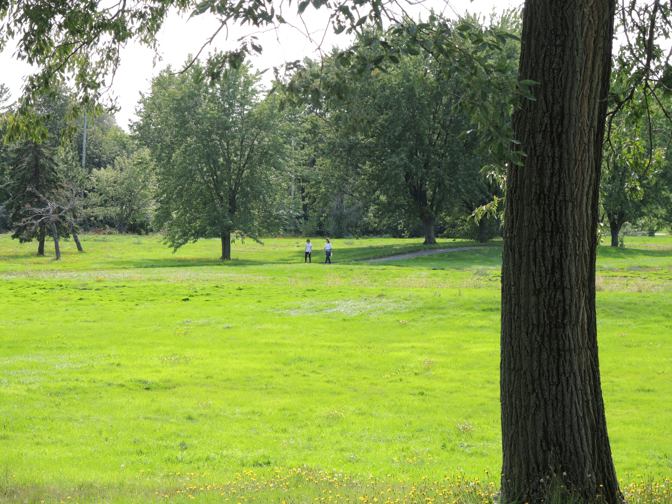 Une collation à déguster sans modération