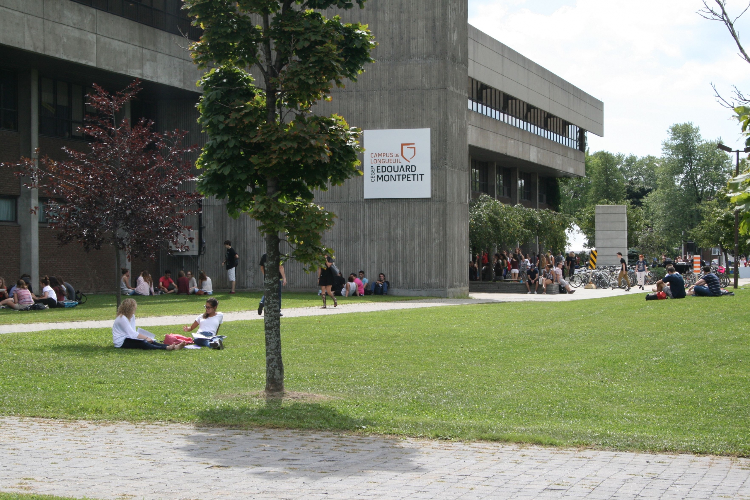 Difficile de rester réveiller en début de semaine…