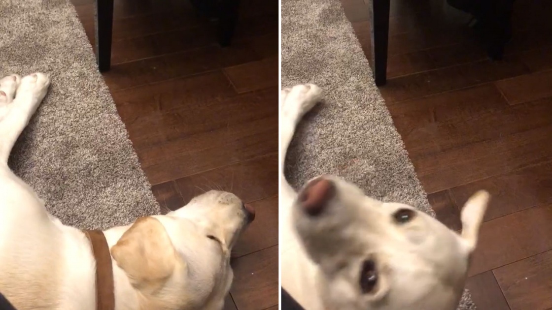 Des &eacute;tudiants de Notre-Dame-de-Lourdes se produisent pour un CHSLD de La Prairie