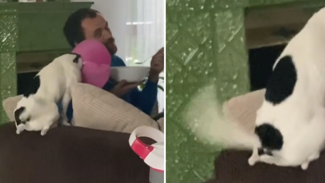 Tour du Silence : des hommages sobres pour les cyclistes d&eacute;c&eacute;d&eacute;s